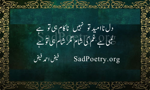 faiz8.jpg