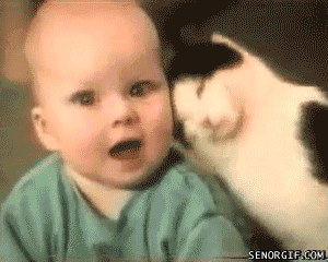 tumblr_lek6z3z88M1qakx30.gif