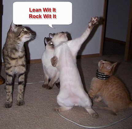 7696_funny-dancing-cats.jpg