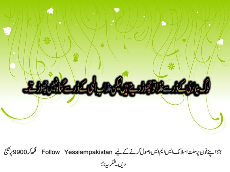 background_31.jpg