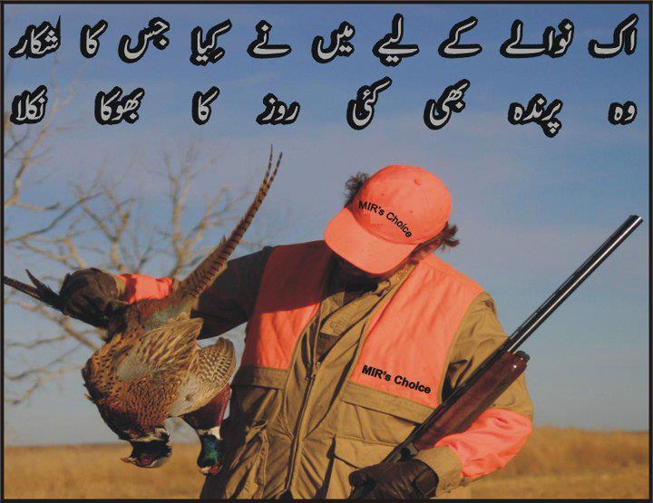 poetry%2B3.jpg