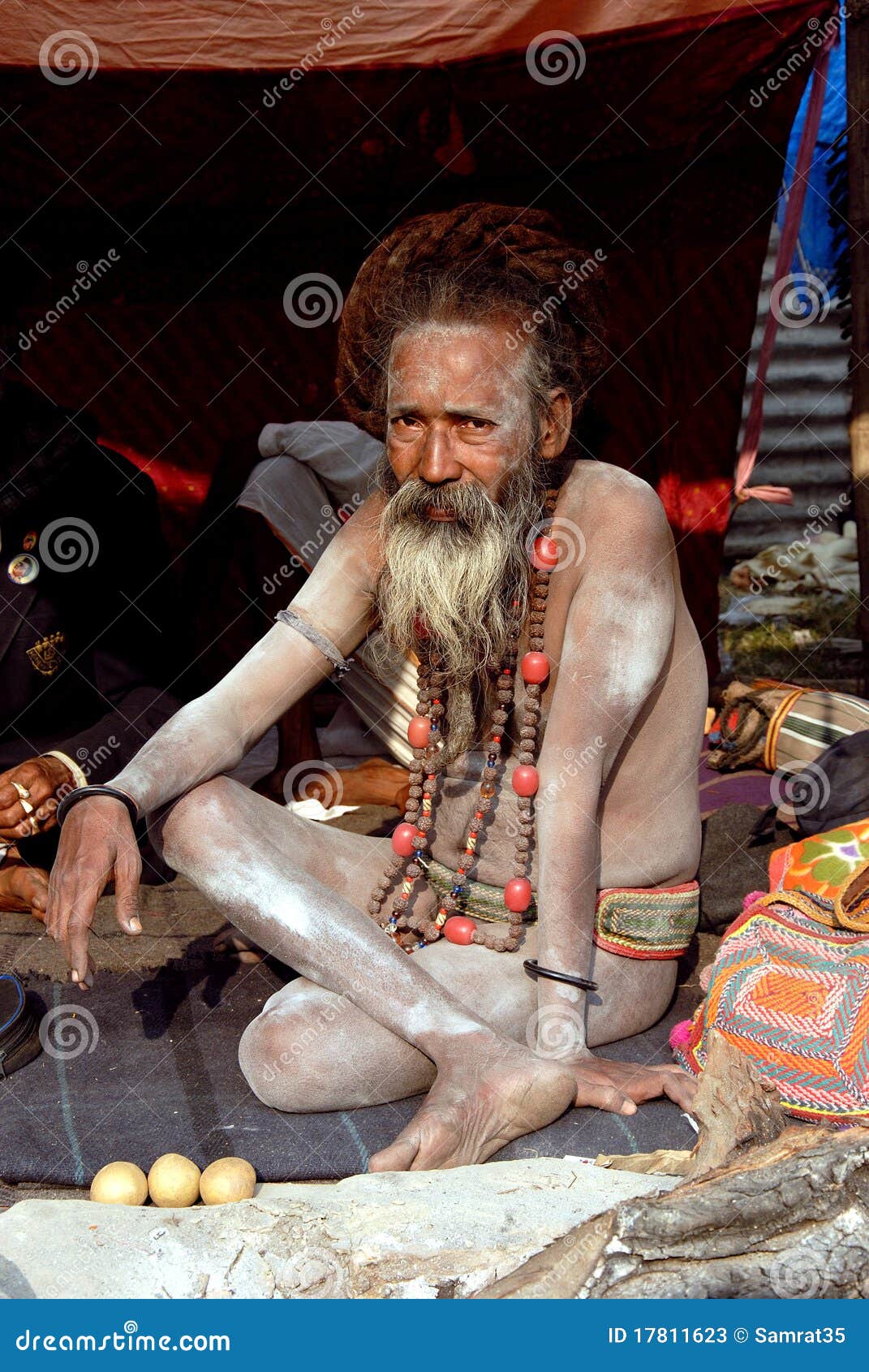 sadhus-holy-men-india-17811623.jpg