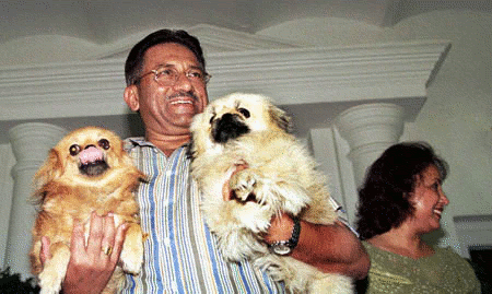 musharaf.gif