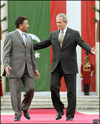 _41579766_bushmush.jpg