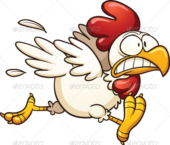 Scared%20Chicken.jpg