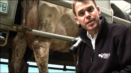 _47739791_mark&cow.jpg