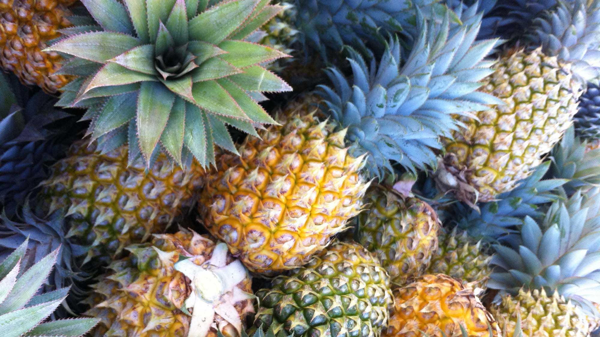 pineapples.jpg