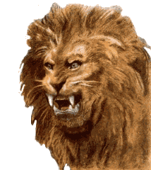 animated-gifs-lions-010.gif