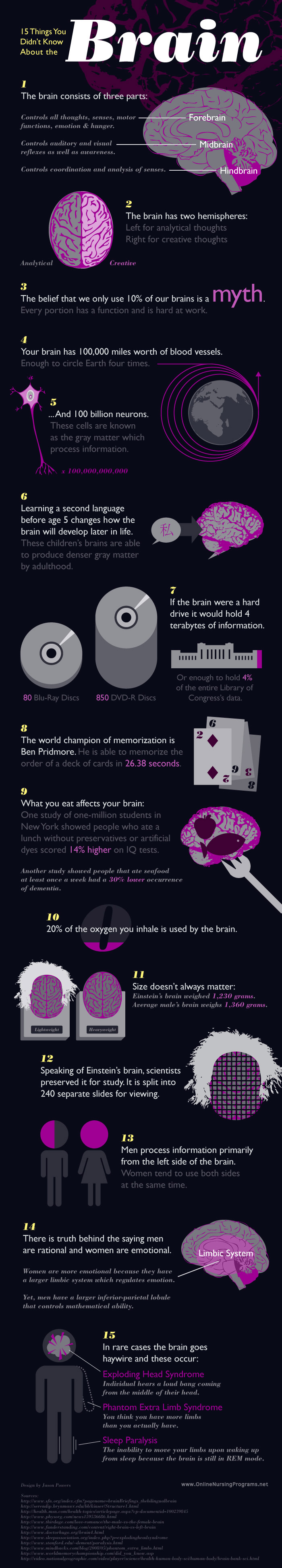 15-facts-about-the-brain.jpg