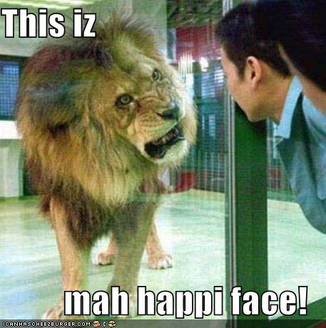 funny-lion-02.jpg
