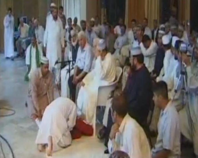 SHIRK1.jpg