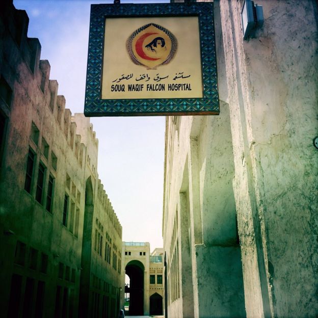 _83170086_falcon-hospital-sign-976.jpg