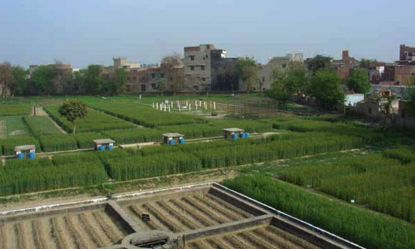 irrigation-system-pakistan.jpg