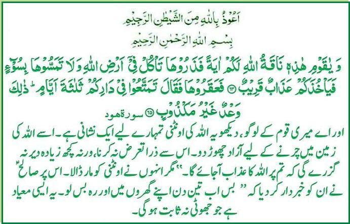 s-011ayat064-65.jpg