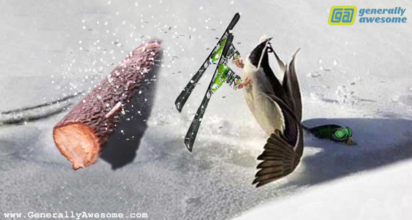 duck-crash.jpg
