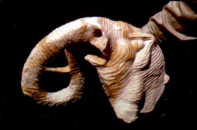 2000-3.jpg