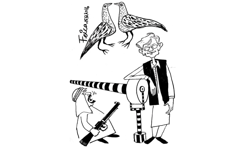 5851bcc196bc5.jpg
