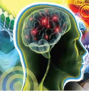 Brain.jpg