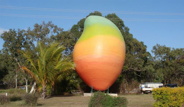 9760444.jpg