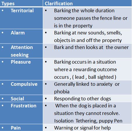 vet-presentation-2.jpg