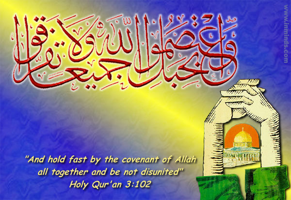 card11.jpg