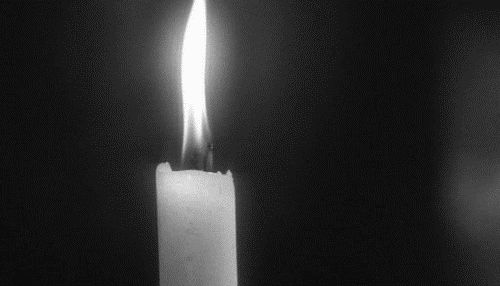 tumblr_mmsr720LBU1s6fei0o1_500.gif
