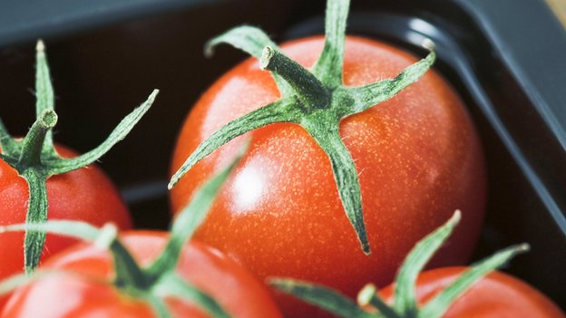 _75402117_tomatoes_in_a_tray-spl-1.jpg
