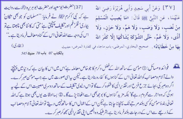 hadith23037.jpg