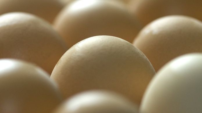_105344376_eggs1.jpg