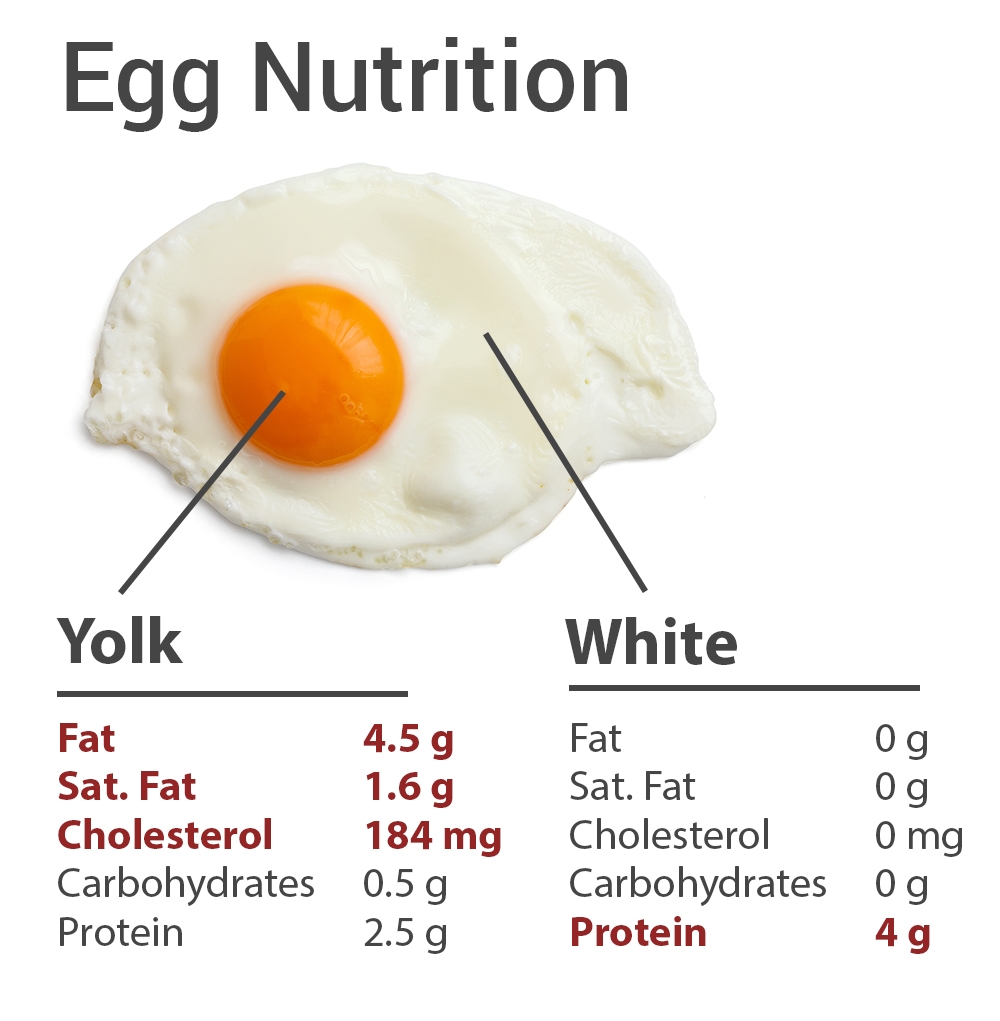 Egg-Nutrition.jpg