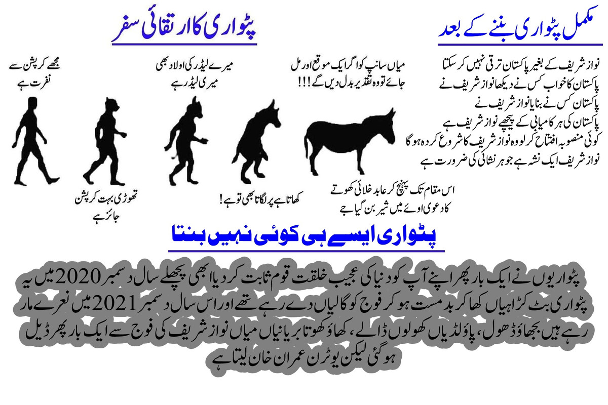patwari-1.jpg
