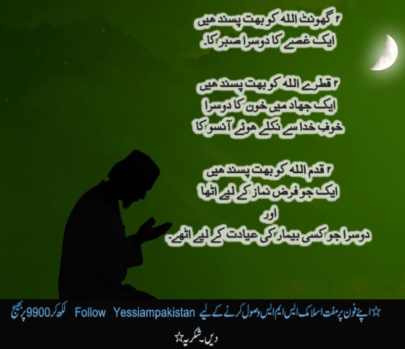 eid_namaz_1280x800.jpg