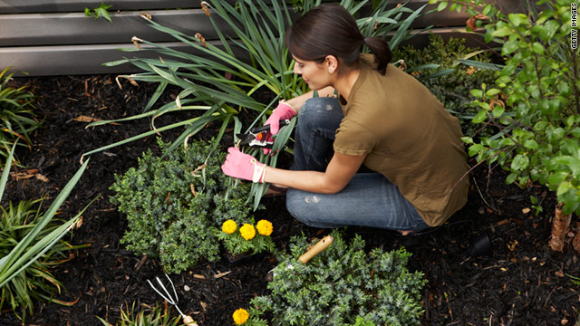 t1larg.gardening.gi.jpg