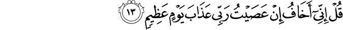 39_13.png