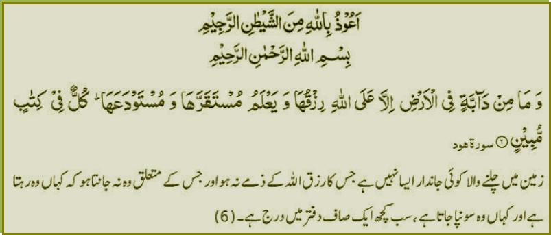 surah-hud-verse-61.jpg