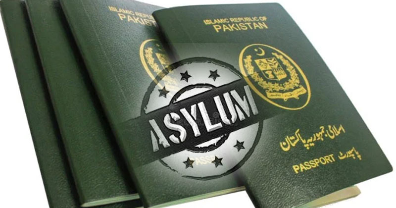 asylum.jpg