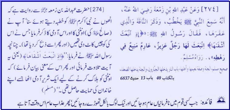 hadith23274.jpg