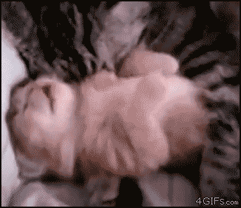Funny-Cat-Gifs-22.gif