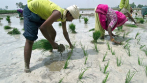 120809110125-kapur-india-drought-00000201-story-body.jpg
