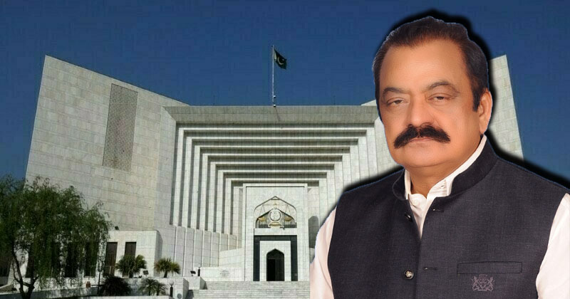 SC-rana.jpg
