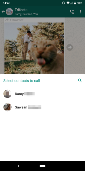whatsapp-call-to-group-2-329x658.png