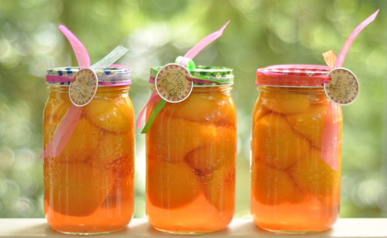 peaches-fruit-float.jpg