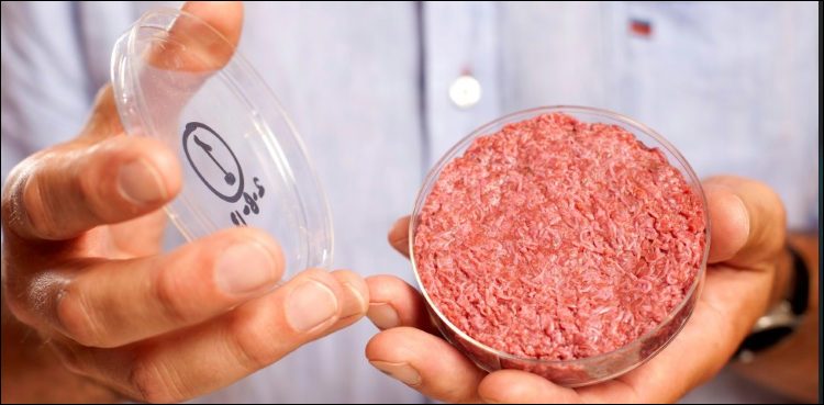 artifical-meat-750x369.jpg