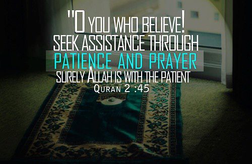 seek-assistance-through-patience-and-prayer.jpg