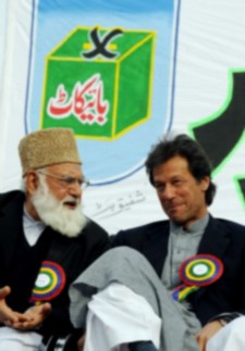 pic7.jpg