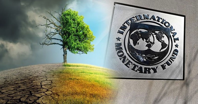IMF.jpg