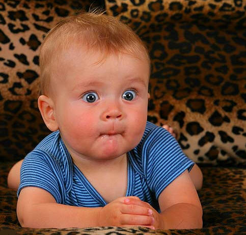 40556-shocked.jpg
