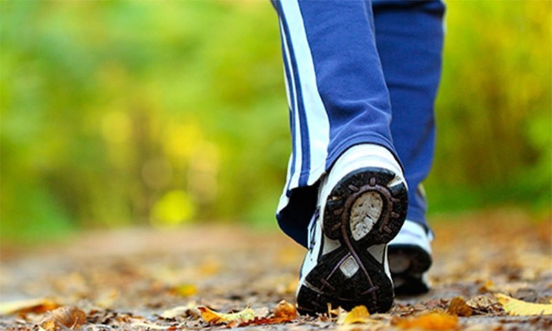 599f2044682a7.jpg
