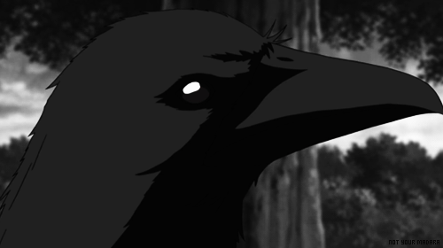 tumblr_mhurqlBZHB1r3t9xoo1_500.gif
