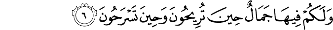 16_6.png